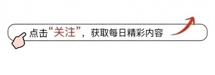 胖东来为何深耕河南市场？揭秘其独特商业逻辑与战略考量