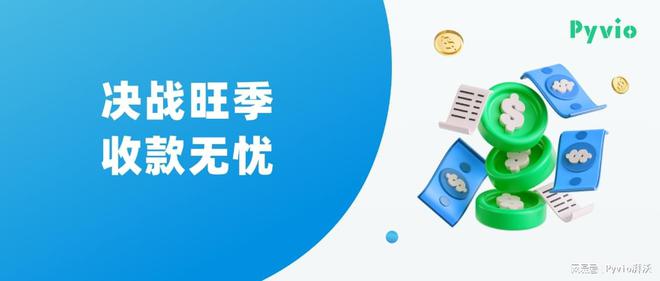 跨境支付货币_如何利用币种进行跨境支付：提升交易效率的便捷选择_跨境支付